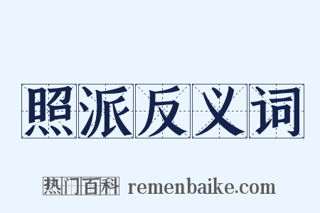 照派反义词是什么意思的图片